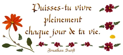 [PDO-00CFR130] Kaart serie 'Citations - Divers' - 'Puisses-tu vivre pleinement...' - 10,5x21cm + envel.