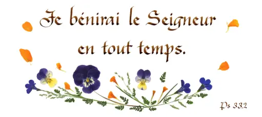 [PDO-00CFR221] Carte série 'Citations - Psaumes' - 'Je bénirai le Seigneur...' - 10,5x21cm + envel.
