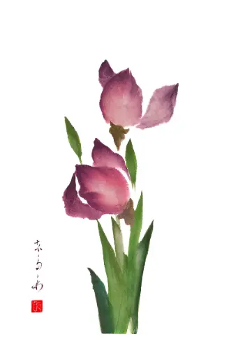 [PDO-00NG063] Dubbelkaart serie 'Japonaise' - Ayame-iris 063 - 10x15cm + envel.