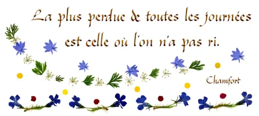 [PDO-00CFR008] Kaart serie 'Citations - La Vie - 'La plus perdue de ...' - 10,5x21cm + envel.