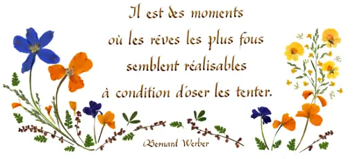 [PDO-00CFR041] Carte série 'Citations - La Vie - 'Il est des moments ...' - 10,5x21cm + envel.