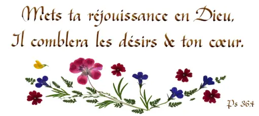 [PDO-00CFR227] Kaart serie 'Citations - Psaumes' - 'Mets ta réjouissance...' - 10,5x21cm + envel.