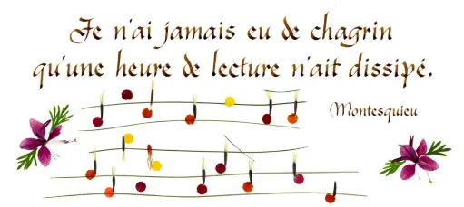 [PDO-00CFR011] Kaart serie 'Citations - Divers' - 'Je n'ai jamais eu de chagrin...' - 10,5x21cm + envel.