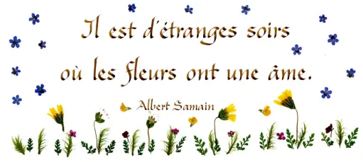 [PDO-00CFR072] Kaart serie 'Citations - Divers' - 'Il est d'étranges soirs...' - 10,5x21cm + envel.
