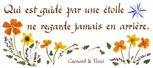 [PDO-00CFR104] Kaart serie 'Citations - Divers' - 'Qui est guidé par...' - 10,5x21cm + envel.