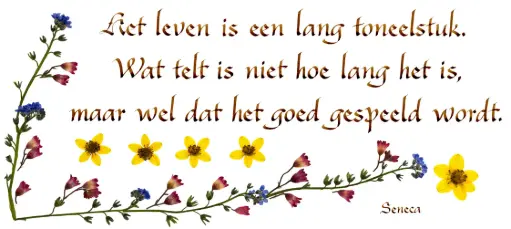 [PDO-00CNL003] Kaart serie 'Citations - NL - 'Het leven is een lang toneelstuk...' - 10,5x21cm + envel.