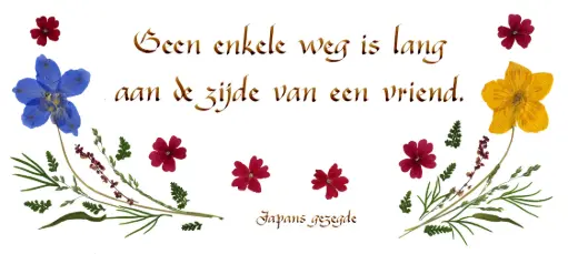 [PDO-00CNL018] Carte série 'Citations - NL - 'Geen enkele weg is lang...' - 10,5x21cm + envel.