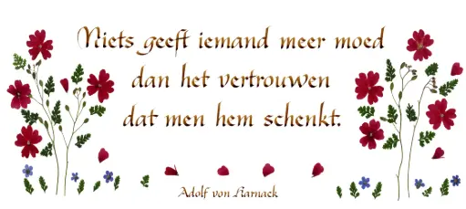 [PDO-00CNL034] Kaart serie 'Citations - NL - 'Niets geeft iemand meer moed...' - 10,5x21cm + envel.