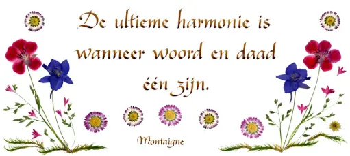 [PDO-00CNL038] Kaart serie 'Citations - NL - 'De ultieme harmonie...' - 10,5x21cm + envel.