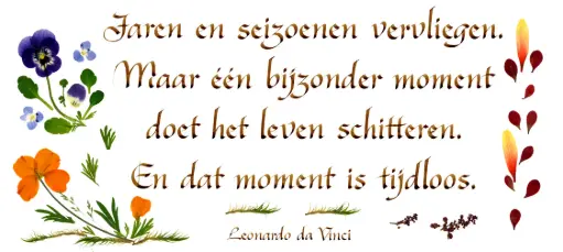 [PDO-00CNL048] Kaart serie 'Citations - NL - 'Jaren en seizoenen vervliegen...' - 10,5x21cm + envel.
