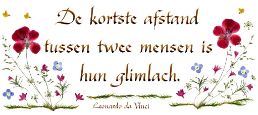 [PDO-00CNL050] Kaart serie 'Citations - NL - 'De kortste afstand...' - 10,5x21cm + envel.