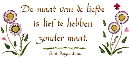 [PDO-00CNL061] Carte série 'Citations - NL - 'De maat van de liefde...' - 10,5x21cm + envel.