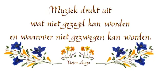 [PDO-00CNL080] Carte série 'Citations - NL - 'Muziek drukt uit..' - 10,5x21cm + envel.