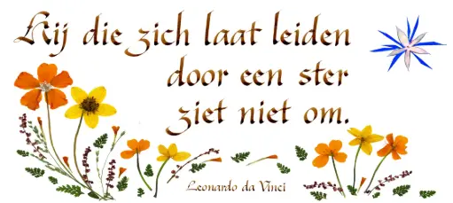 [PDO-00CNL104] Kaart serie 'Citations - NL - 'Hij die zich laat leiden...' - 10,5x21cm + envel.