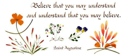 [PDO-00CGB001] Kaart serie 'Citations - GB - 'Believe that you may understand...' - 10,5x21cm + envel.