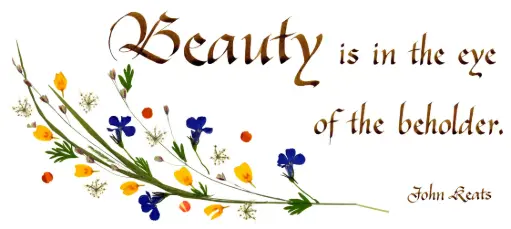 [PDO-00CGB006] Kaart serie 'Citations - GB - 'Beauty is in the eye...' - 10,5x21cm + envel.