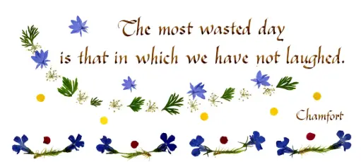 [PDO-00CGB008] Carte série 'Citations - GB - 'The most wasted day...' - 10,5x21cm + envel.
