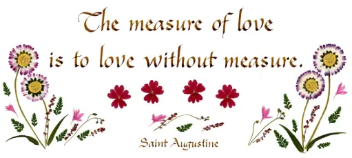 [PDO-00CGB061] Carte série 'Citations - GB - 'The measure of love...' - 10,5x21cm + envel.