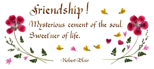 [PDO-00CGB112] Carte série 'Citations - GB - 'Friendship! ...' - 10,5x21cm + envel.