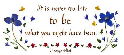 [PDO-00CGB127] Carte série 'Citations - GB - 'It is never too late...' - 10,5x21cm + envel.