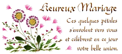 [PDO-00CFR097] Carte série 'Citations - Le Mariage' - 'Ces quelques pétales...' - 10,5x21cm + envel.
